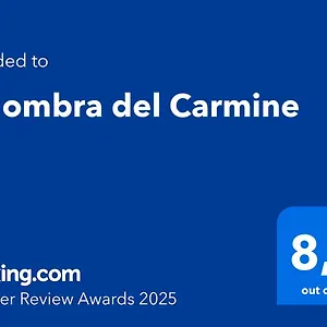 Appartamento All'ombra Del Carmine, Padova
